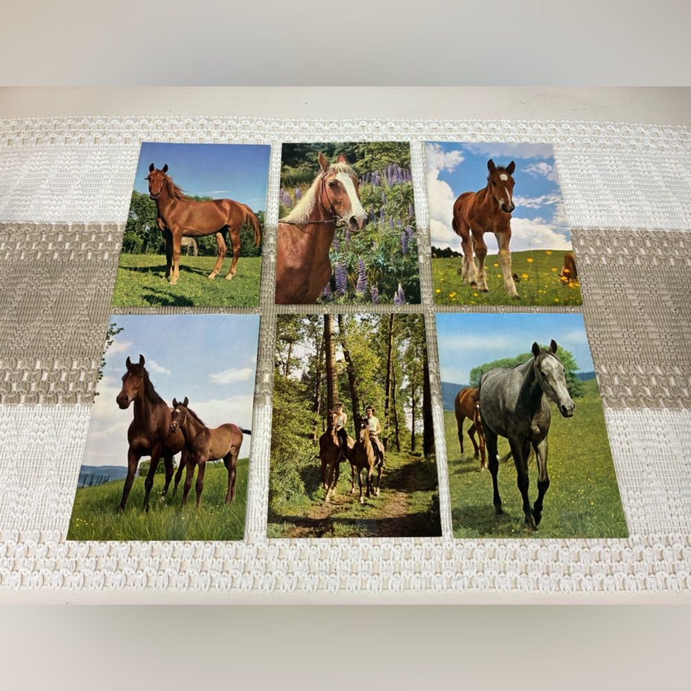 Vintage Horse-Themed Postcard Set of‎ 6